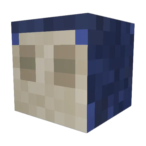 Necrus_Nox Minecraft avatar head, 3D render