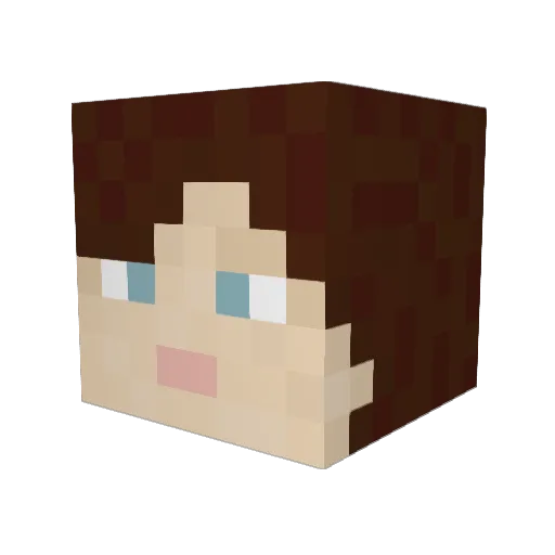 Ned2075 Minecraft avatar head, 3D render