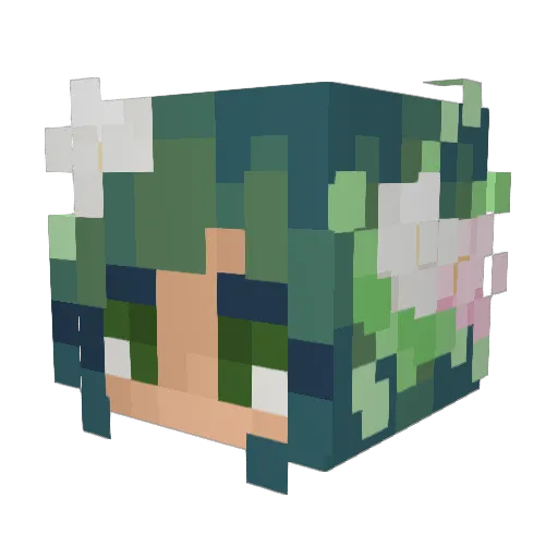 Nedara Minecraft avatar head, 3D render