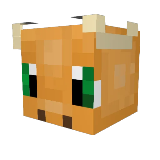 NederFER Minecraft avatar head, 3D render