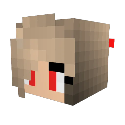 Nederstjaerna Minecraft avatar head, 3D render