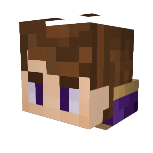 Nediac31 Minecraft avatar head, 3D render