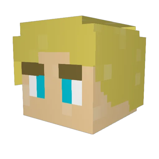Nediage Minecraft avatar head, 3D render