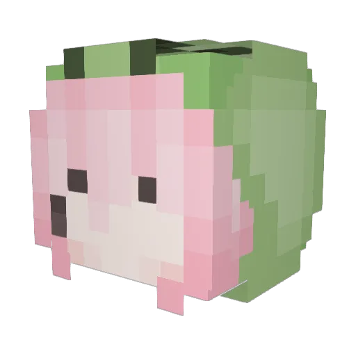 Nednoxx Minecraft avatar head, 3D render