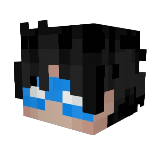 Neecla_ Minecraft avatar head, 3D render