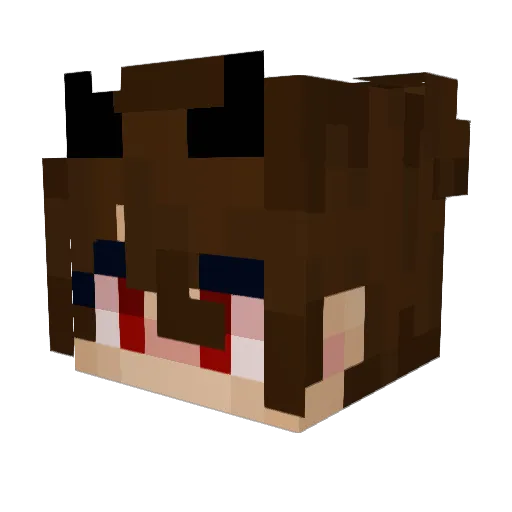 NeedHelpForMe Minecraft avatar head, 3D render