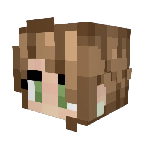 NeedToBeDownload Minecraft avatar head, 3D render