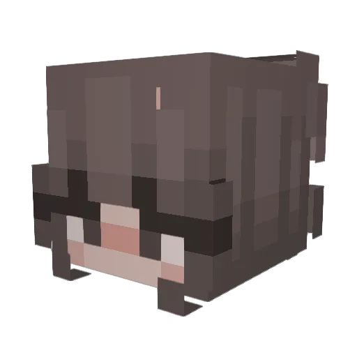 NeedYourMind Minecraft avatar head, 3D render