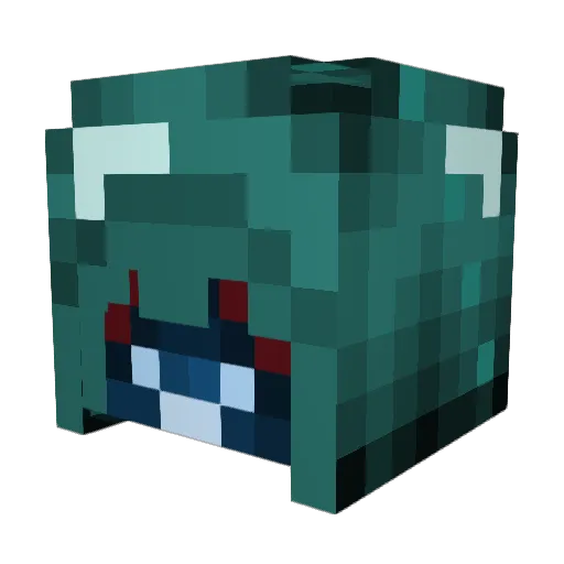 NeedZALife Minecraft avatar head, 3D render
