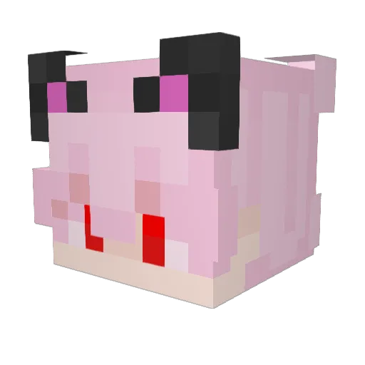 Needless5225 Minecraft avatar head, 3D render