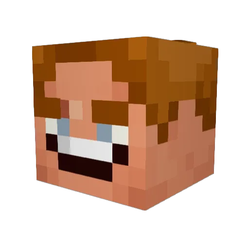 Needs_A_Sandwich Minecraft avatar head, 3D render