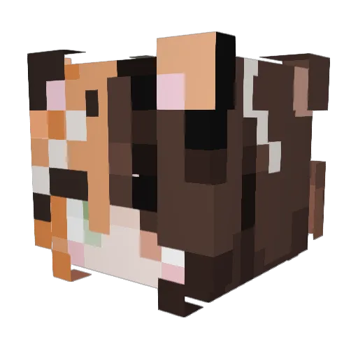 NeedyCat948 Minecraft avatar head, 3D render