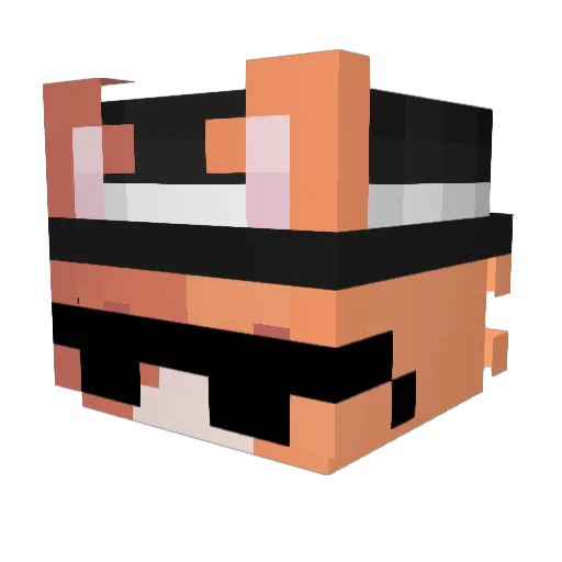 Neeko1156 Minecraft avatar head, 3D render