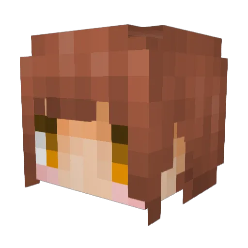 Neeko99 Minecraft avatar head, 3D render
