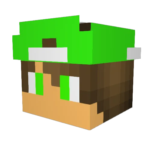 NeekoPsycho Minecraft avatar head, 3D render