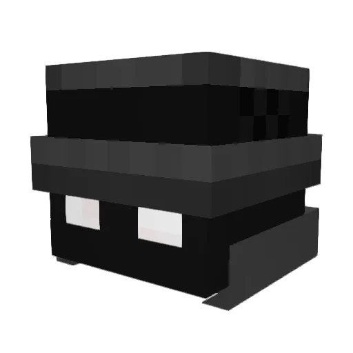 NeelGamer909 Minecraft avatar head, 3D render
