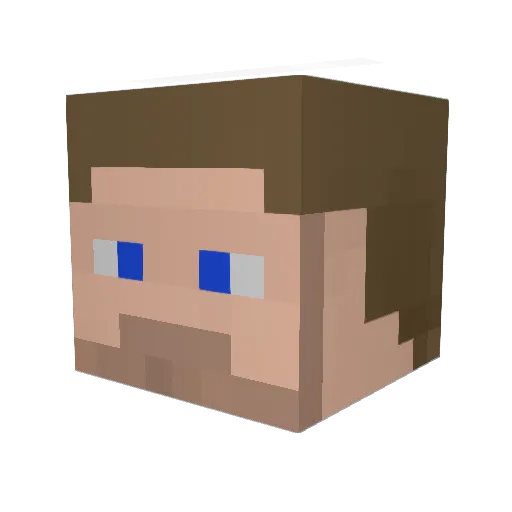 Neelix95 Minecraft avatar head, 3D render