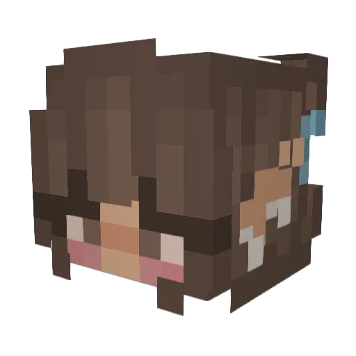 Neelly Minecraft avatar head, 3D render