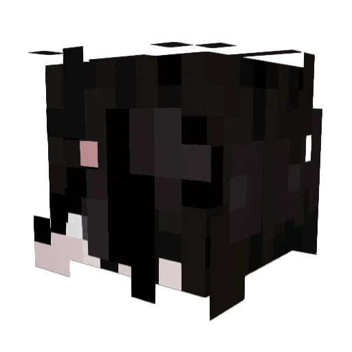 Neenear Minecraft avatar head, 3D render