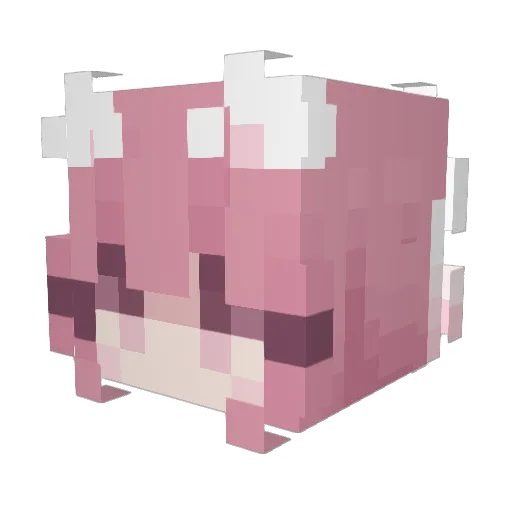 Neener_ Minecraft avatar head, 3D render