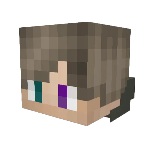 Neeq2005 Minecraft avatar head, 3D render