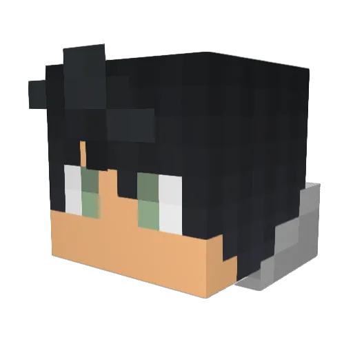 NeeqGG Minecraft avatar head, 3D render