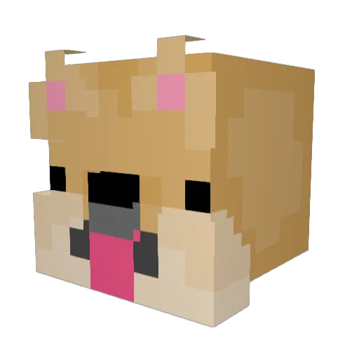 NeeqYT Minecraft avatar head, 3D render