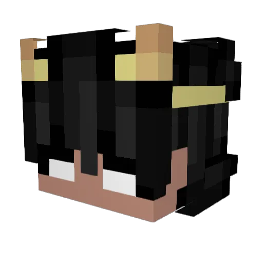 Neeqqou Minecraft avatar head, 3D render