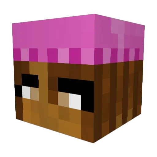 Neequaaa Minecraft avatar head, 3D render