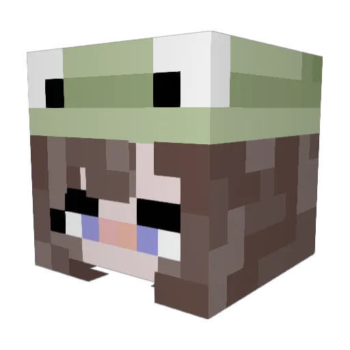 Neer4 Minecraft avatar head, 3D render