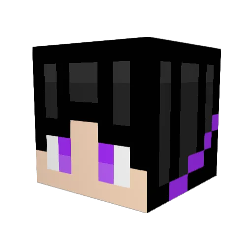 Neeri16 Minecraft avatar head, 3D render
