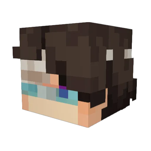 Neerkson Minecraft avatar head, 3D render