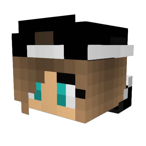 Neesha13 Minecraft avatar head, 3D render
