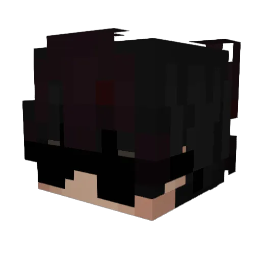 NeetDropper Minecraft avatar head, 3D render