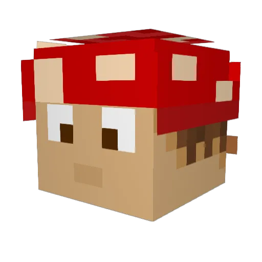 Neeto44 Minecraft avatar head, 3D render