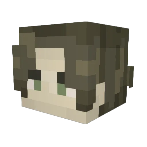 Neevaras Minecraft avatar head, 3D render