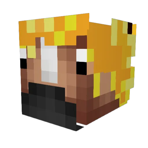 Neeverr Minecraft avatar head, 3D render