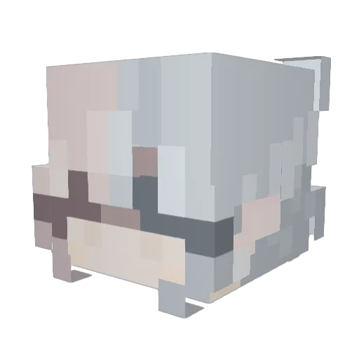 Neezy84 Minecraft avatar head, 3D render