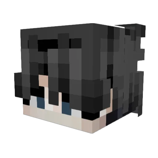 Nefak3 Minecraft avatar head, 3D render