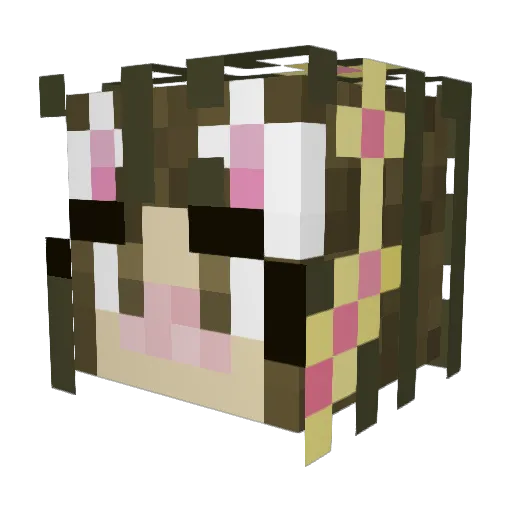 NefariousPIG Minecraft avatar head, 3D render