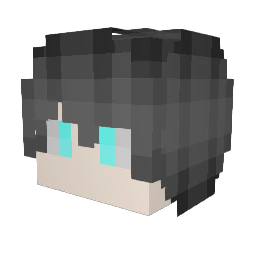 Nefelibata118 Minecraft avatar head, 3D render