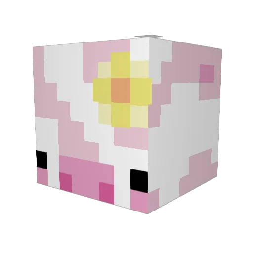 Neffarias_Bredd Minecraft avatar head, 3D render