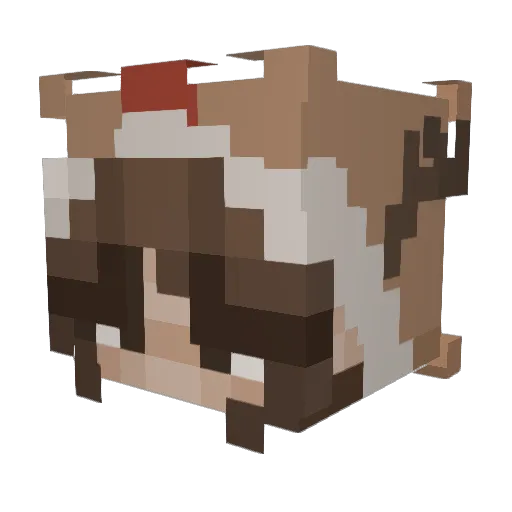 Nefinka_ Minecraft avatar head, 3D render