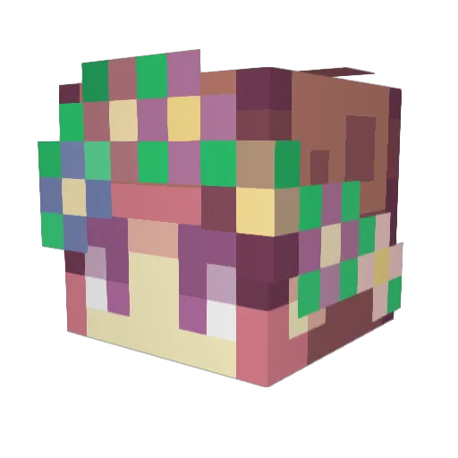 Nefrail Minecraft avatar head, 3D render