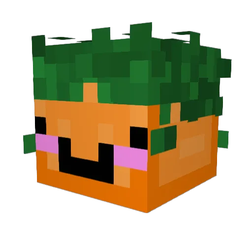 NegaBoyz Minecraft avatar head, 3D render