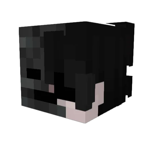 Negan_05 Minecraft avatar head, 3D render