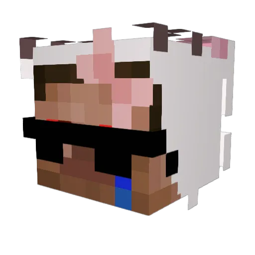 NegativGetestet Minecraft avatar head, 3D render