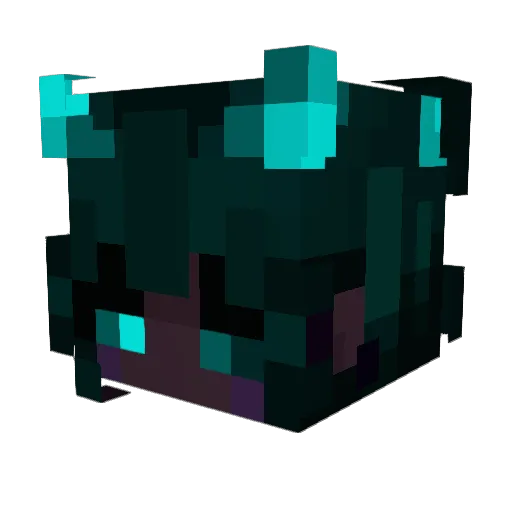 NegativeAura1 Minecraft avatar head, 3D render