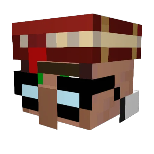 NegativeGamerz Minecraft avatar head, 3D render