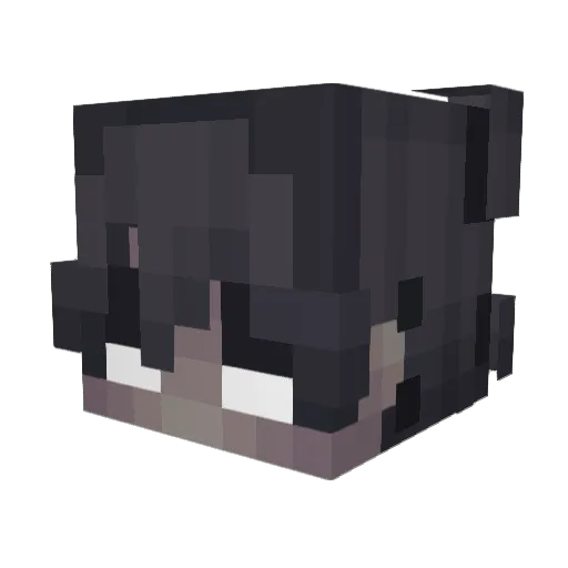 NegativeTM Minecraft avatar head, 3D render